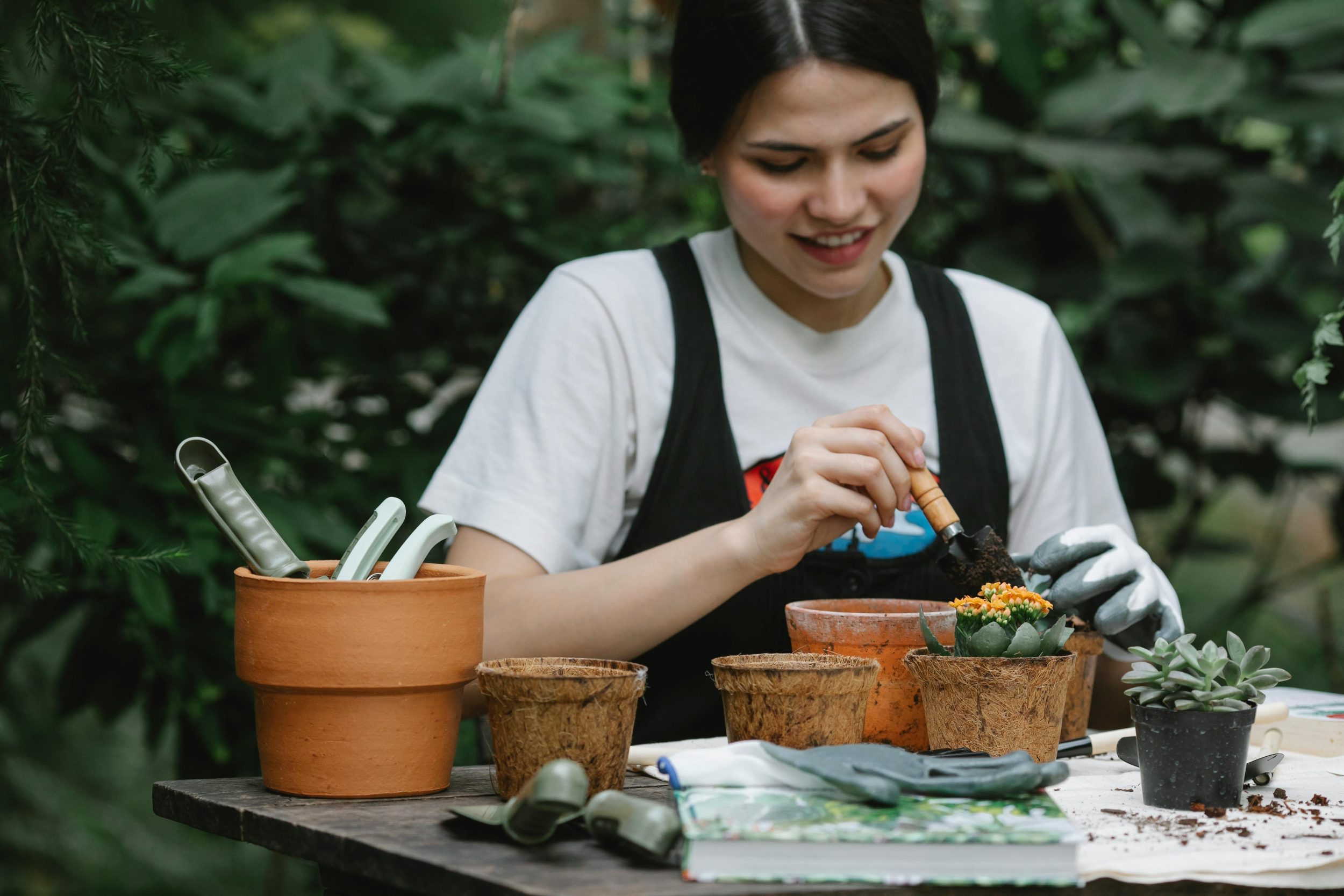 A woman with dark hair wearing a white tshirt and black dungarees potting succulents in terracotta pots.