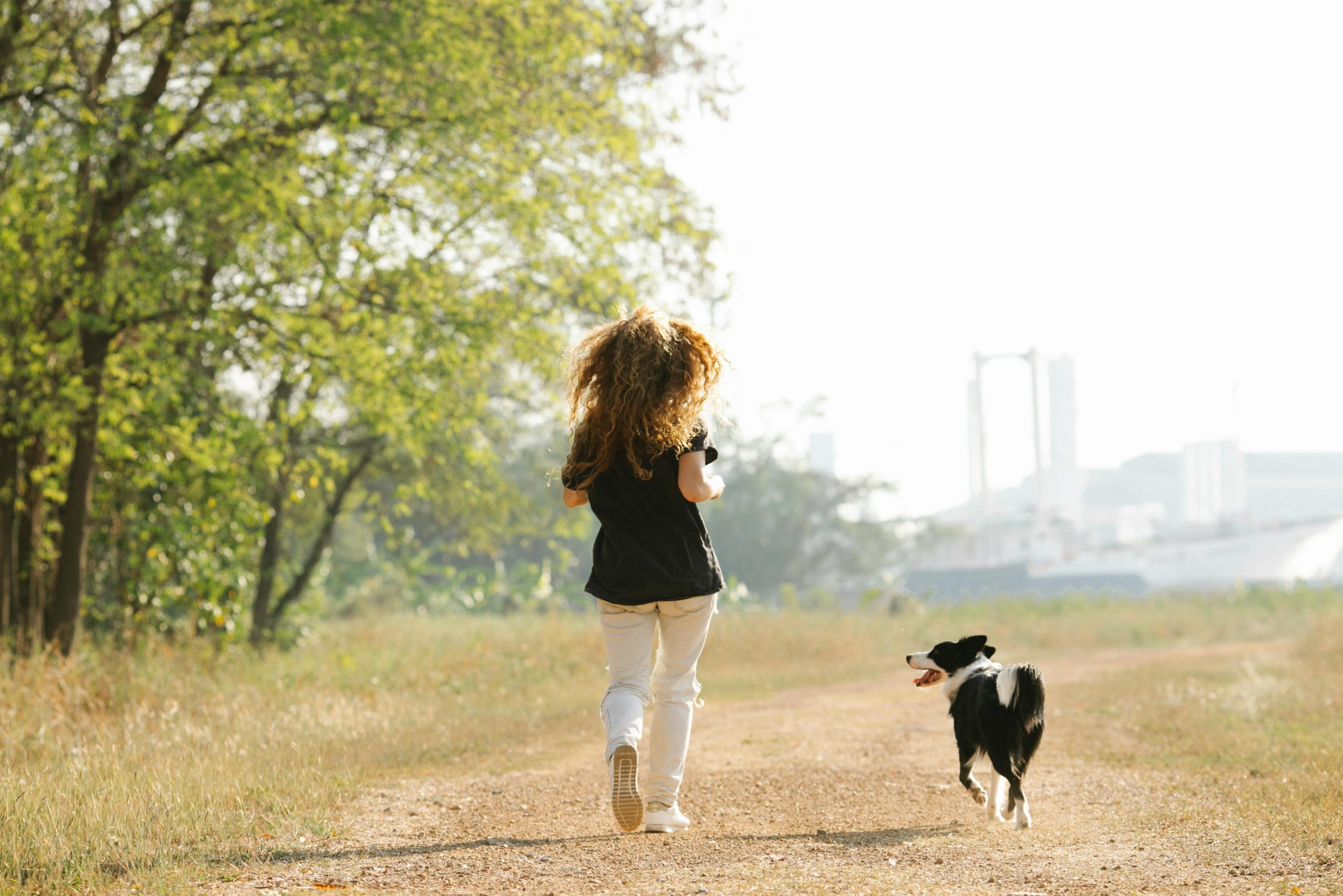 Woman runs with a collie dog