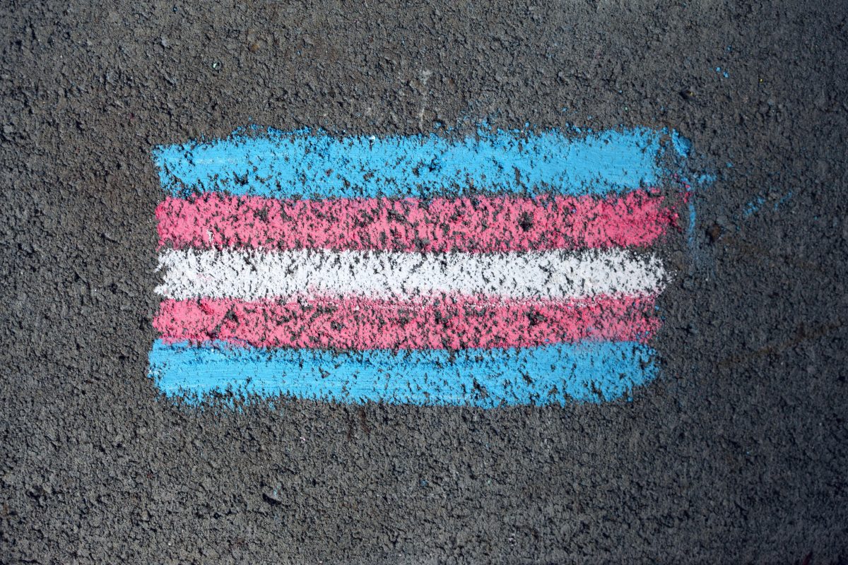 Pexels Katierainbow 8275181