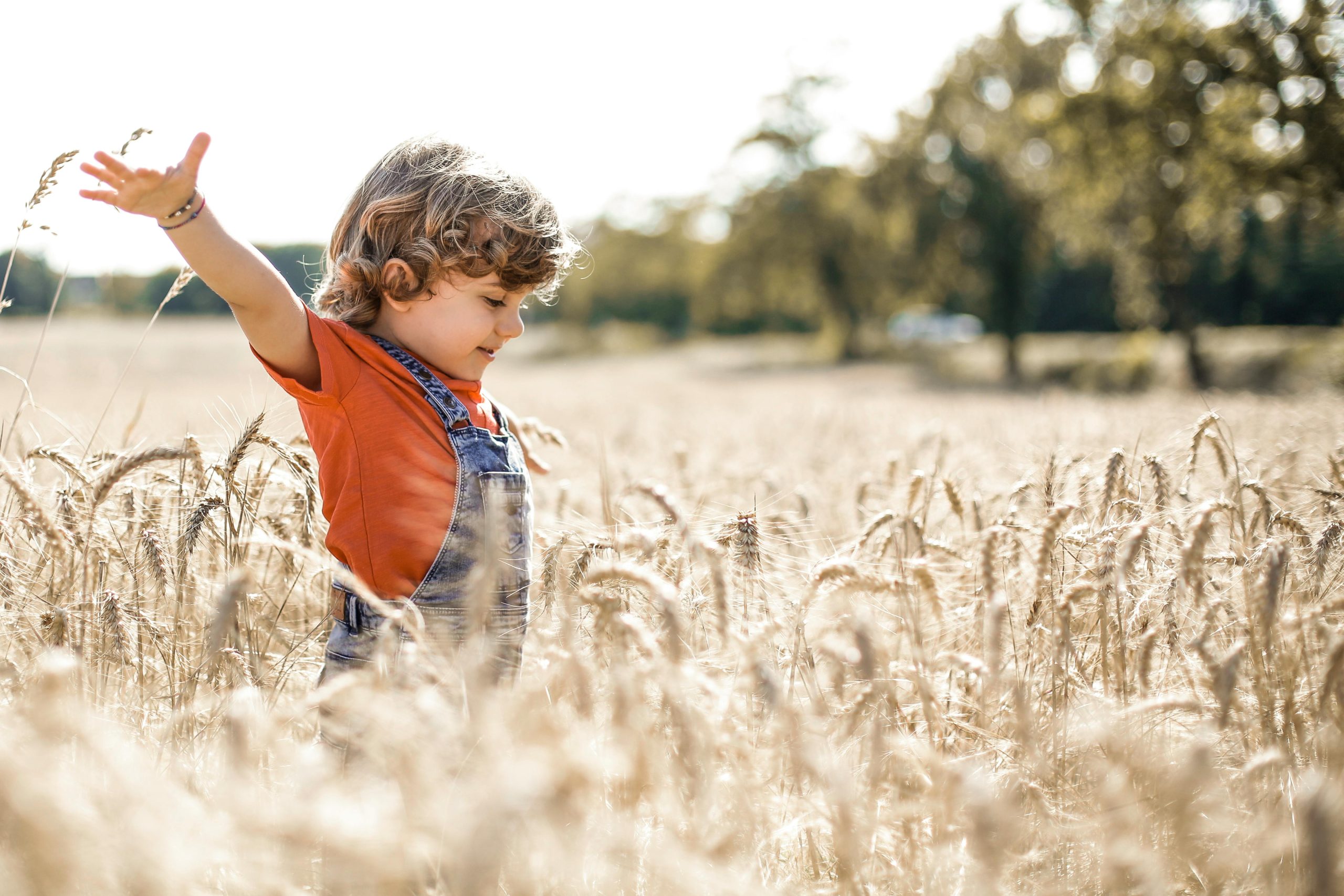 Little boy happily playing in a wheat field.