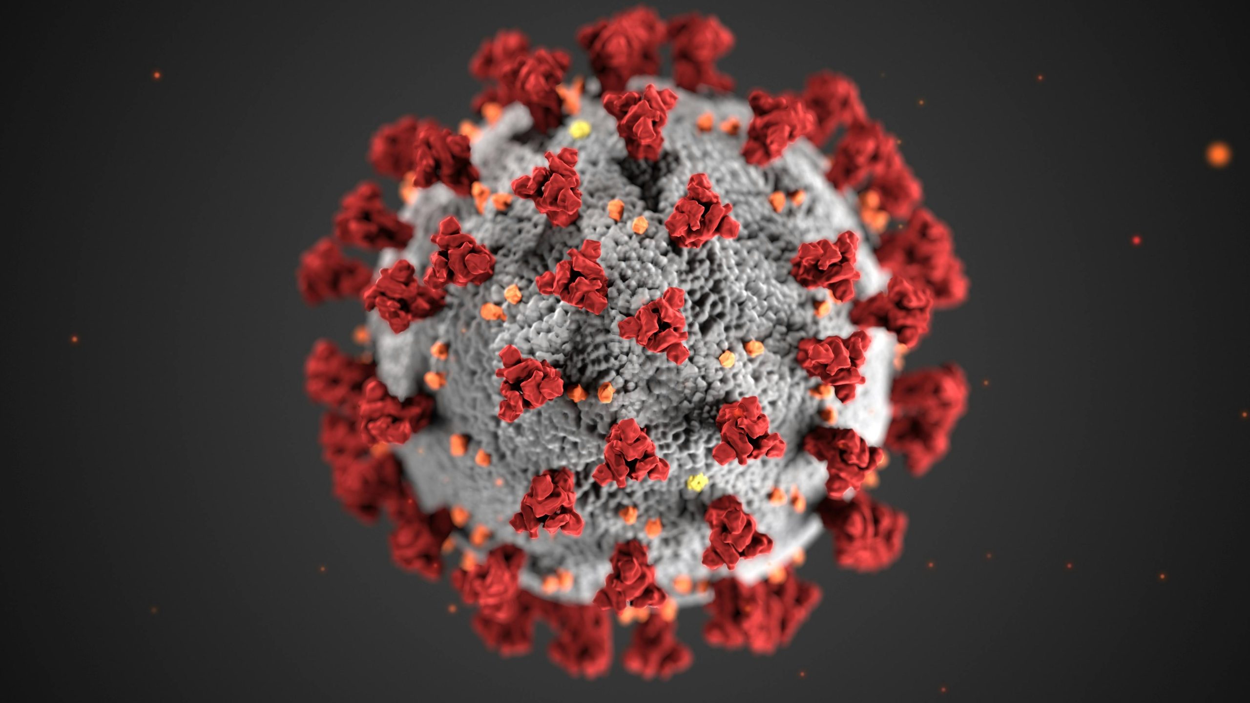 Structure of Covid 19