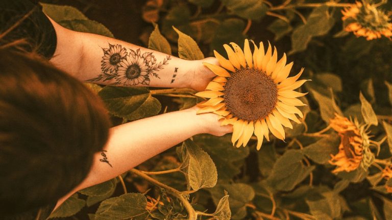 A woman's hands clasping around a large sunflower in a field. The woman's arms have a tattoo of sunflowers on them.