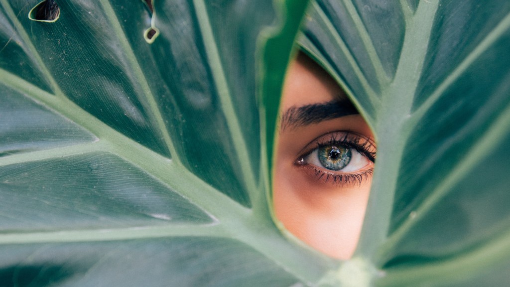 A close up of a woman's blue eye peering through the holes in a monsterra leaf.