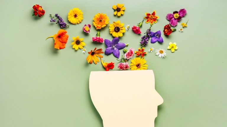 A green background features a cardboard cut out of the shape of a human head. Flowers are spilling out of the top of the head.