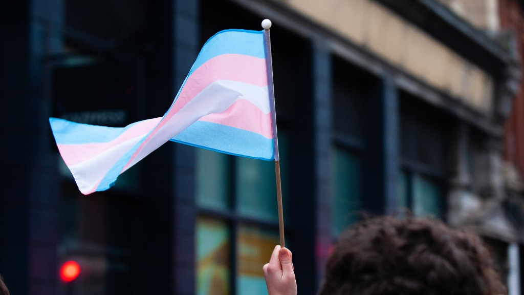 The trans flag being held up by a person walking in a protest.