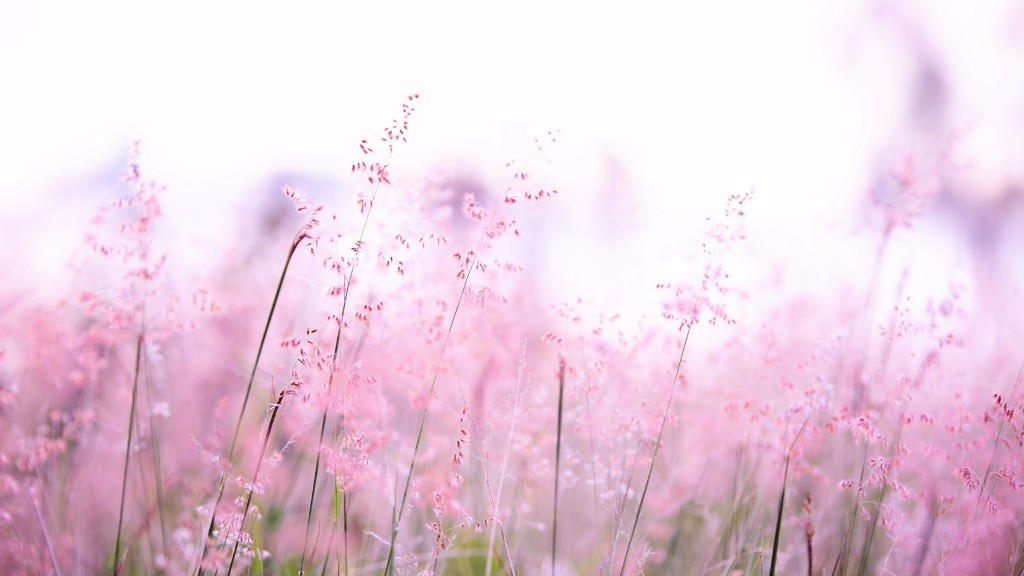 A blurred photo of pink flowers in a field.