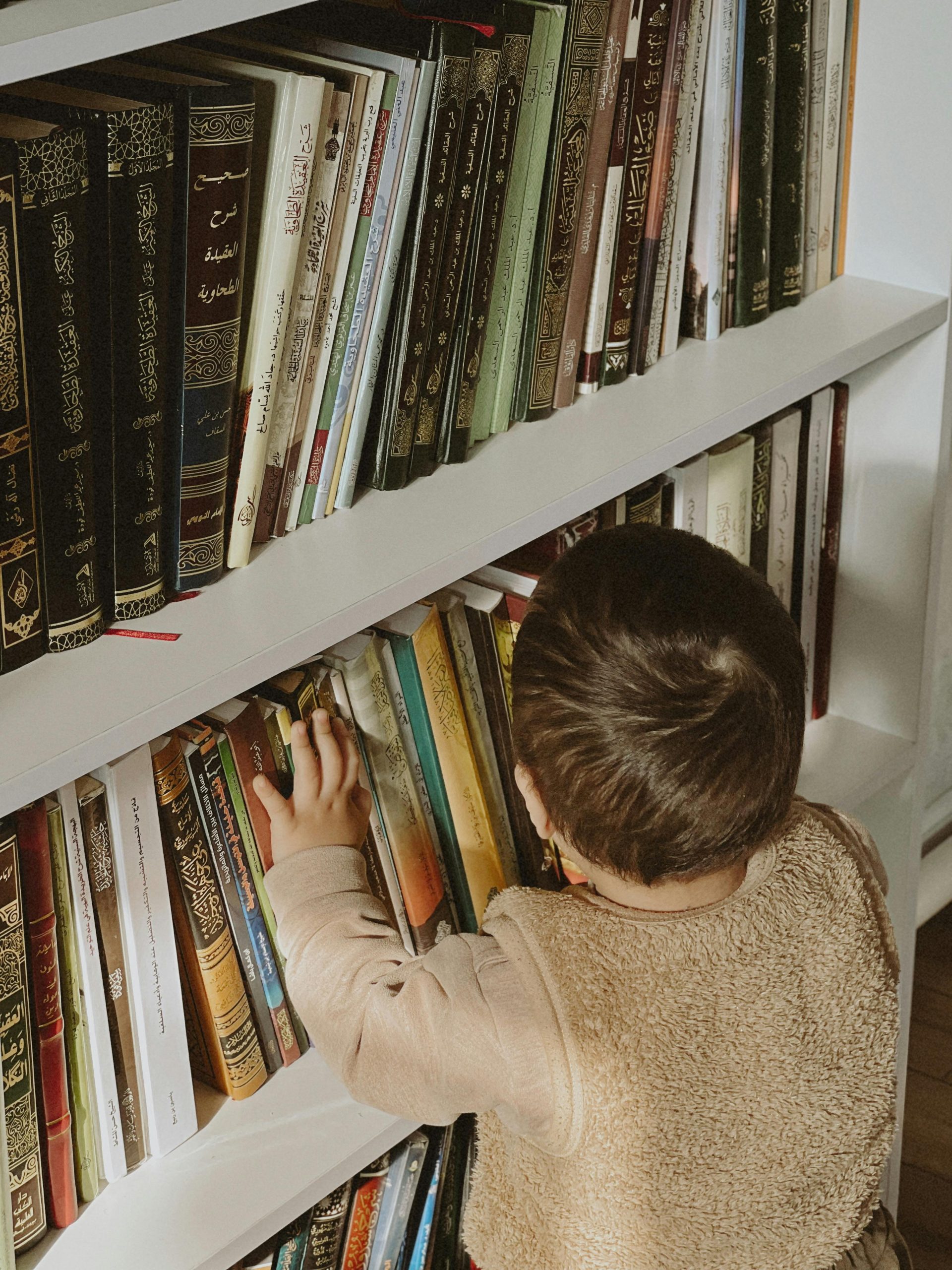 A baby exploring a bookshelf