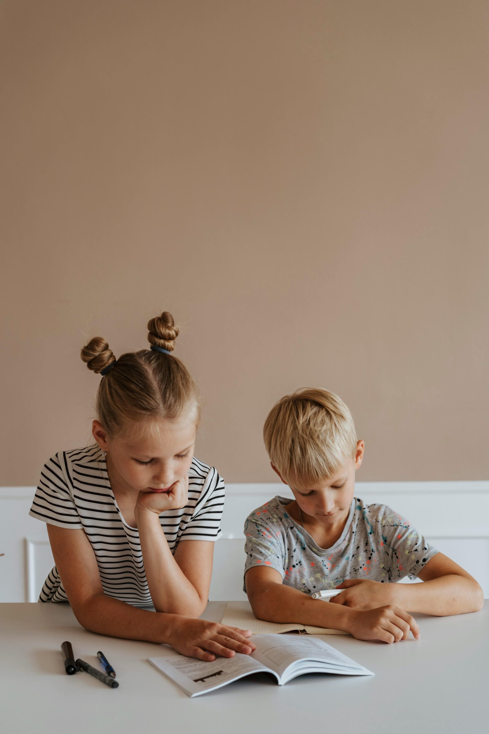 Young siblings studying