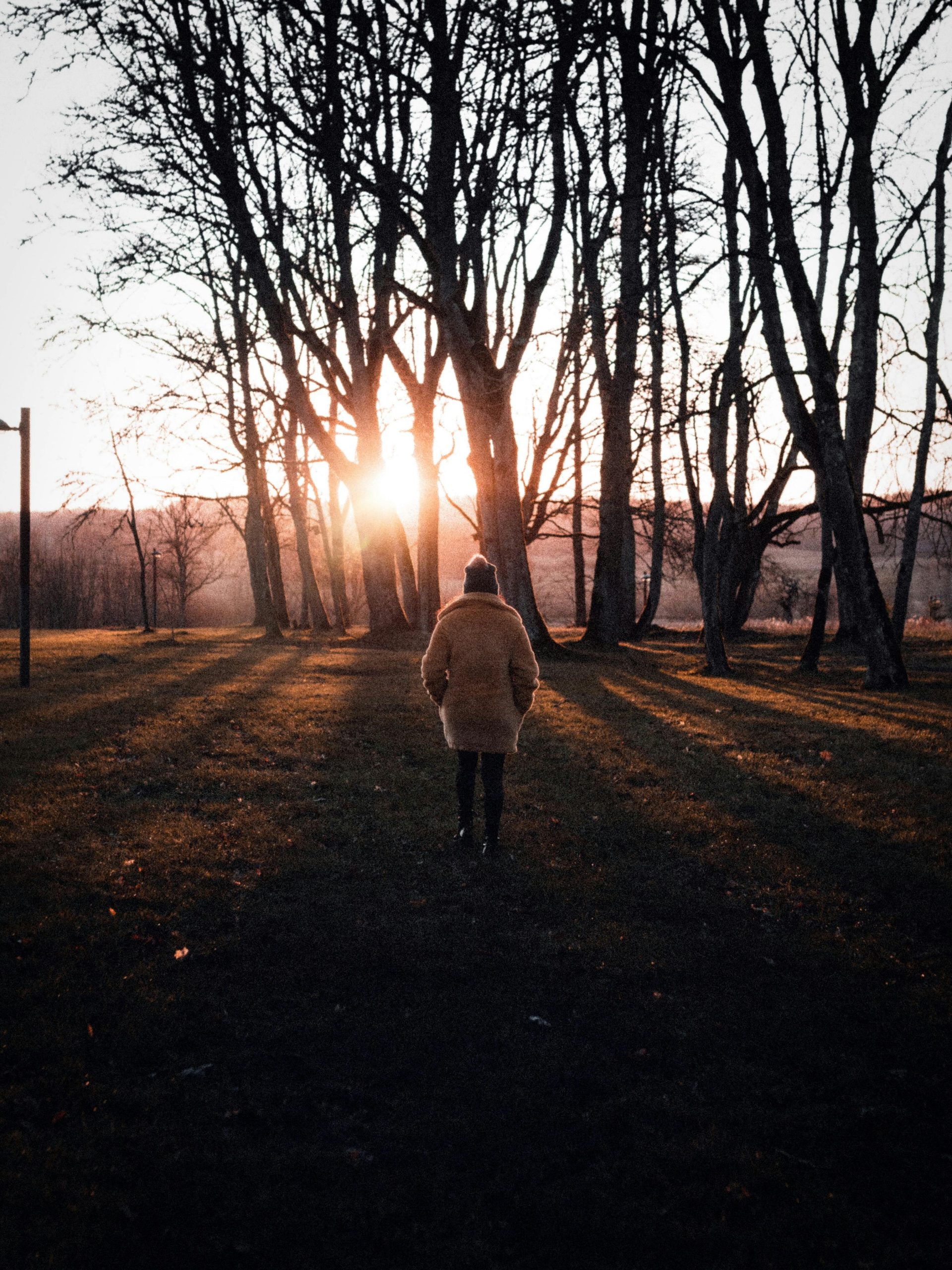 A person walking through a field during golden hour