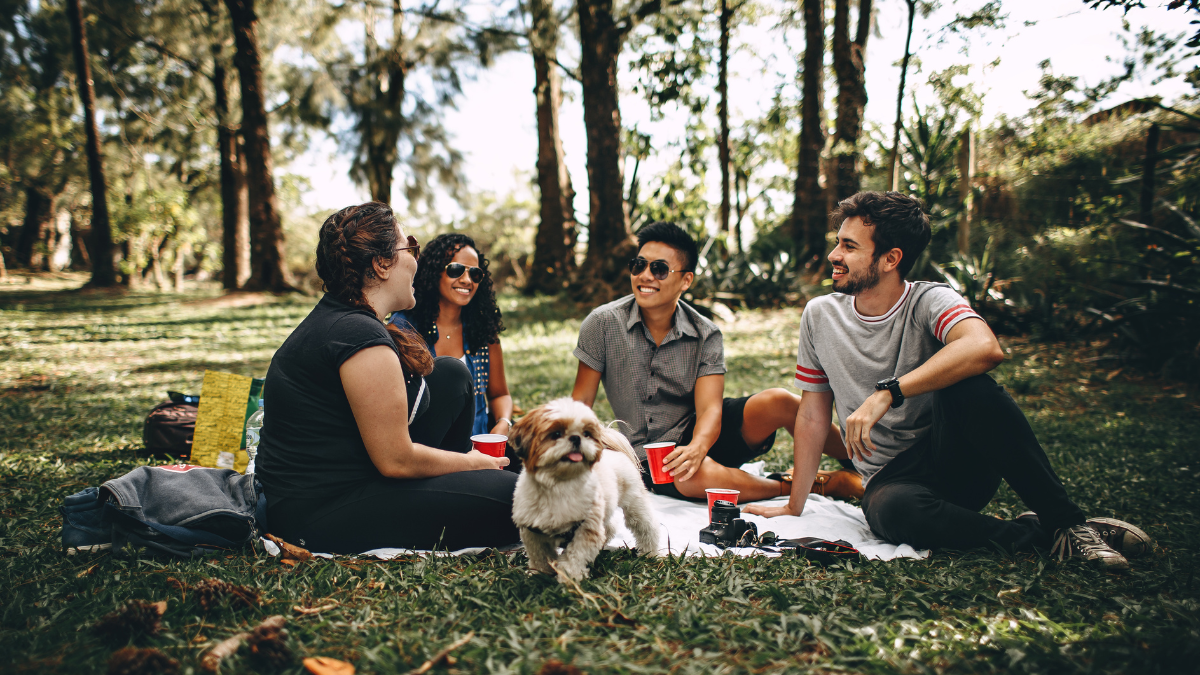 A photo of a group of young adults sit together on a picnic rug beside a pet dog.