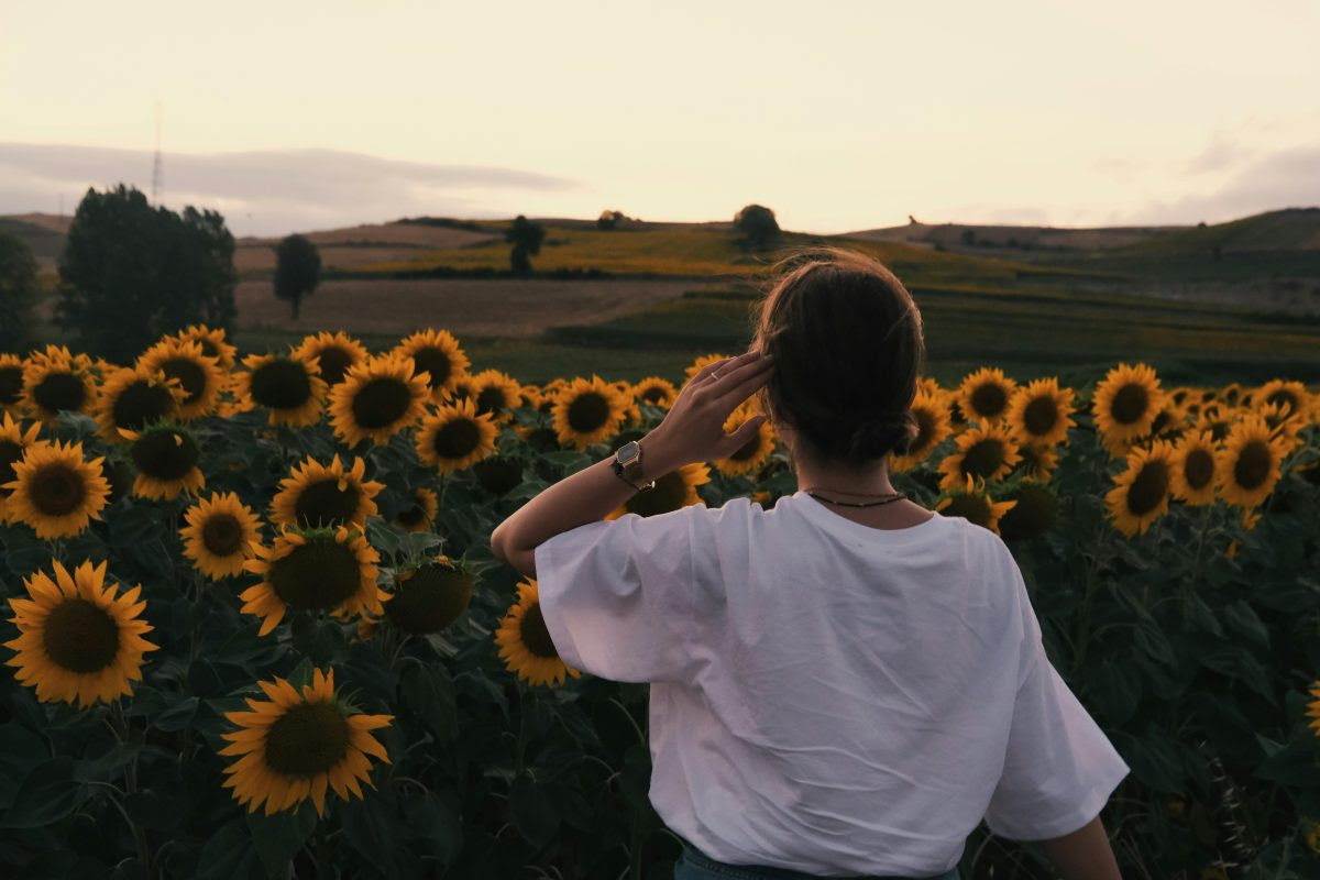 Photo of a woman with her back to us, standing in a field of sunflowers.