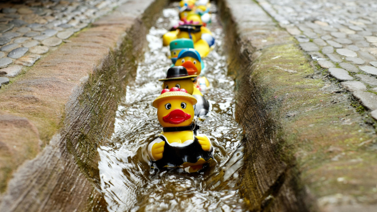 A row of rubber ducks in a stream